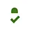 Pagespeed - Dev